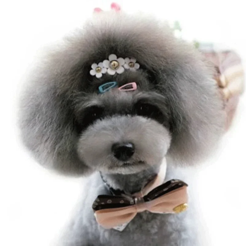 5ชิ้น/ชุดขนาดเล็กแบบเกาหลีกิ๊บ - Vintage Fashion Dolls บทวิจารณ์และราคา